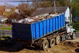 Shed Removal